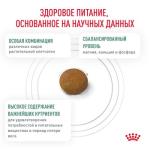 Royal Canin Satiety Weight Management – Сухой корм для взрослых кошек, 3.5 кг