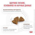 Royal Canin Gastrointestinal S/O Сухой корм для кошек с расстройствами пищеварения, 400 г