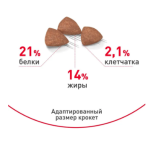 Չոր կեր փոքր չափի շների համար (1,5կգ) ROYAL CANIN MINI INDOOR ADULT