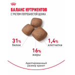 Сухой корм для щенков Royal Canin Giant Junior для очень крупных пород, 15 кг