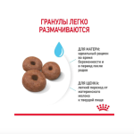 ROYAL CANIN GIANT STARTER – Dry food for giant breed puppies (up to 2 months), and for pregnant & lactating females, 15 kg