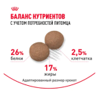 Չոր լիարժեք կեր խոշոր ցեղատեսակների մեծահասակ շների համար (26–44 կգ), 5–8 տարեկան ROYAL CANIN MAXI ADULT 5+ (15 կգ)