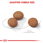 Չոր կեր մեծ ցեղատեսակի շան ձագերի համար (մինչև 15 ամսական), 15 կգ Royal Canin Maxi Puppy՝