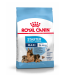 Royal Canin Maxi Starter Mother & Babydog Dry Food for Large-Breed Dogs, 15 kg