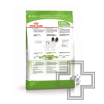 Royal Canin X-Small Adult Сухой корм для взрослых собак миниатюрных пород (от 10 месяцев до 8 лет), 3 кг