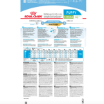 Չոր կեր մանր և գաճաճ ցեղատեսակի շունիկների համար (մինչև 10 ամսական), 3 կգ Royal Canin X-Small Puppy՝