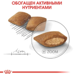 Royal Canin Mini Exigent Dry Food for Small and Toy-Breed Dogs (from 10 months), 3 kg