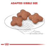 Royal Canin Mini Adult 8+ Сухой корм для собак мелких пород (старше 8 лет, вес до 10 кг), 8 кг