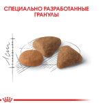 Royal Canin Savour Exigent – Сухой корм для привередливых кошек (1–7 лет), 10 кг