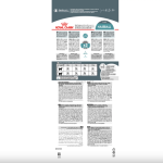 Royal Canin Hairball Care – Сухой корм для выведения шерсти, 10 кг