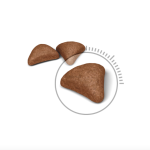 Royal Canin Hairball Care – Сухой корм для выведения шерсти, 10 кг