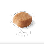 Royal Canin Yorkshire Terrier Adult – Dry Food for Adult Dogs, 1.5 kg