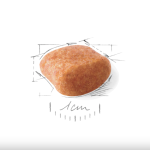 Royal Canin Poodle Adult – dry food for adult Poodles, 1.5 kg