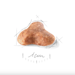 Royal Canin Pug Adult – dry food for adult Pugs, 1.5 kg