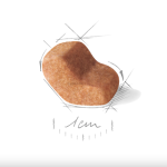 Royal Canin Shih Tzu Adult – dry food for adult Shih Tzus, 1.5 kg