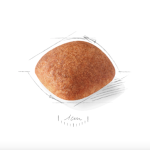 Չոր կեր մեծահասակ ոսկեգույն ռետրիվերների համար, 12 կգ Royal Canin Golden Retriever Adult