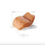 Royal Canin Bulldog Adult – сухой корм для взрослых собак породы Бульдог, 12 кг