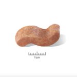 Royal Canin Boxer Adult – сухой корм для взрослых собак породы Боксер, 12 кг