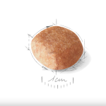 Royal Canin Miniature Schnauzer Adult – сухой корм для взрослых собак породы Миниатюрный шнауцер, 3 кг