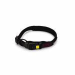 Premium Dog Collar-(50-55×2.5 սմ) Beeztes
