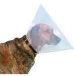 Protective Plastic Dog Collar -25cm