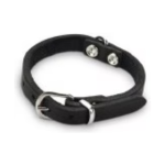 Կաշվե վզկապ շների համար, սև, 27x10 մմ Beeztees