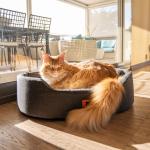 Փափուկ անկողին շների և կատուների համար -Դարչնագույն/Բեժ 65սմ