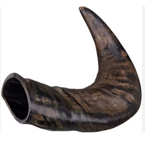 Եղջյուր՝ ալերգիկ շների համար, միջին