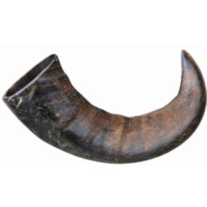 Եղջյուր՝ ալերգիկ շների համար, մեծ