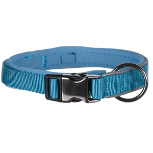 Experience Dog Collar (Blue)