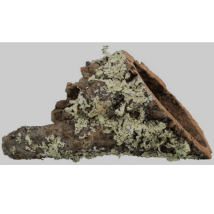 Փայտե թունել կրծողների/սողունների համար XS–S 6x20 սմ