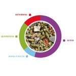 Կեր խոտակեր սողունների համար (300 գ / 1 Լ) Reptile Food