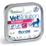 Պաշտետ կատուների համար (100 գ) VetSolution Recovery