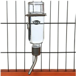 Rodent Glass Water Bottle 250 ml