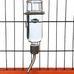 Rodent Glass Water Bottle 125 ml