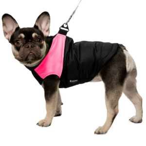 Ժիլետ շների համար (M, 26 x 37 սմ) Gamma