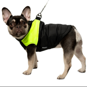 Dog Vest “Neon”, Yellow Gamma