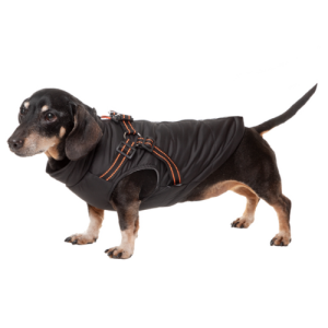 Ժիլետ շների համար շլեյկայով Gamma