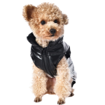 Insulated Dog Cape “Disco Star” XS / S BE TRENDY