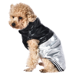 Insulated Dog Cape “Disco Star” XS / S BE TRENDY