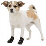 Обувь для Собак XS–XL (Черный) Walker Active