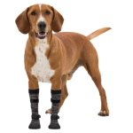 Կոշիկներ Շների Համար XS–M Walker Socks