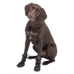 Կոշիկներ Շների Համար (2 հատ)