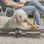 Dog Treat — Rabbit Hide with Fur (45–50 cm / 85 g)