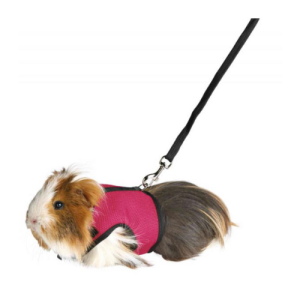 Շլեյկա ձգափոկով նեյլոնե փոքր կենդանիների համար Trixie