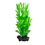 Aquarium Plant (S 15 cm / M 23 cm / L 30 cm) Hygrophila