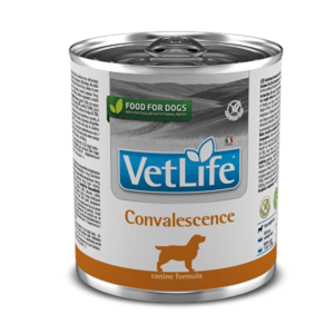 Complete Dietary Wet Food for Dogs in Recovery 300 g VetLife Natural Dog Convalescence