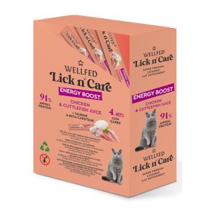 Energy Boost Lickable Treat with Chicken & Salmon for Cats 15 g – WELLFED