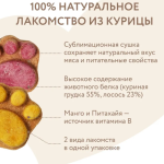 Freeze-Dried Premium Salmon Treats for Dogs 24 pcs (Grain-Free) – Mnyams