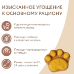 Freeze-Dried Premium Salmon Treats for Dogs 24 pcs (Grain-Free) – Mnyams